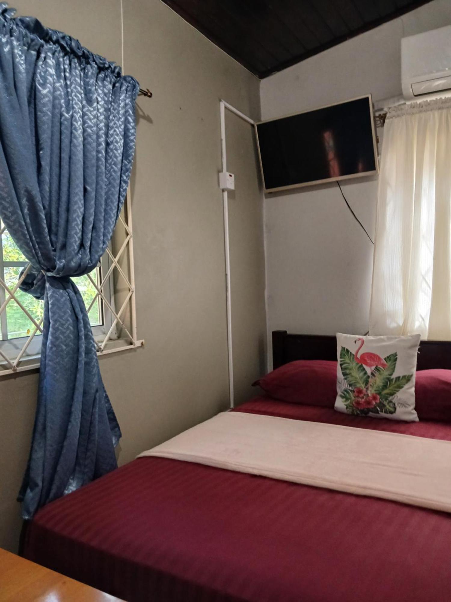 Ultimate Freedom Bed And Breakfast Santa Cruz 객실 사진